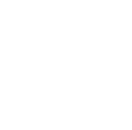 mental attic